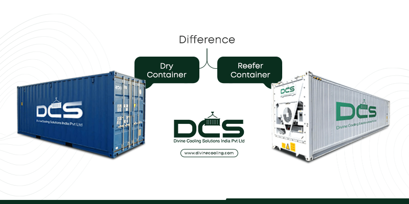 Reefer and Dry Containers